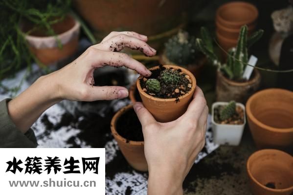 喝茶解酒嗎