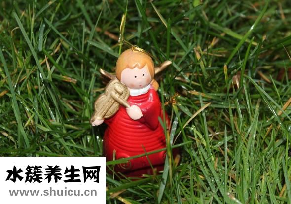 收縮期雜音