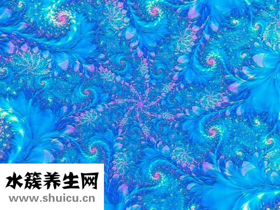 怎么瘦臉方法