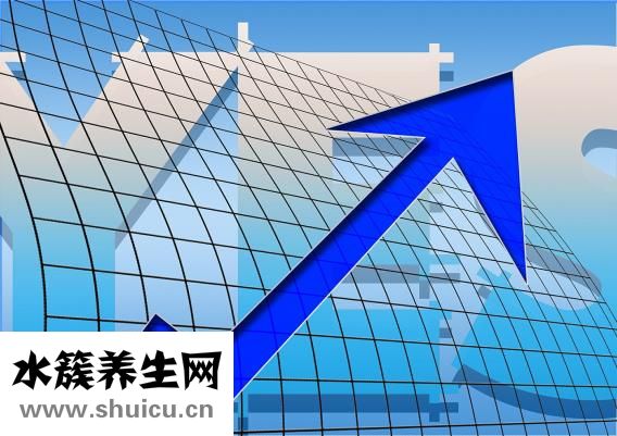 手癬的癥狀