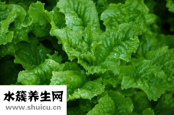 什么食品減肥