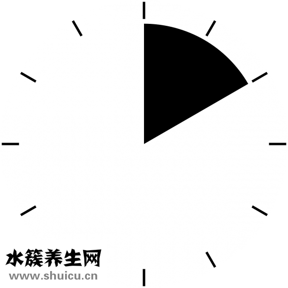 烏魚湯怎么熬