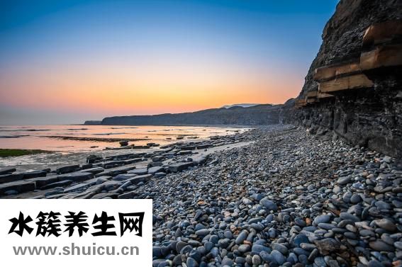 小孩掉牙順序