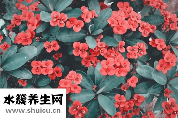 體溫量多久