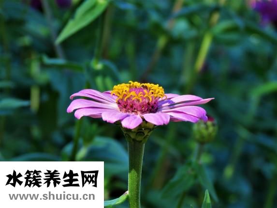 什么東西提神