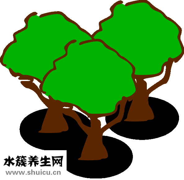 什么東西提神