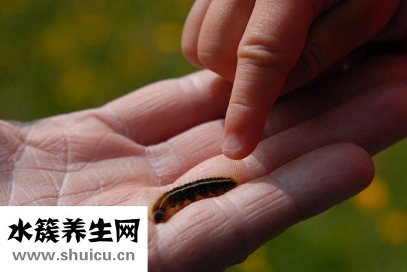 手指沒月牙