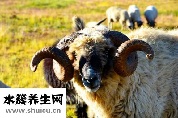 下肢動脈粥樣硬化