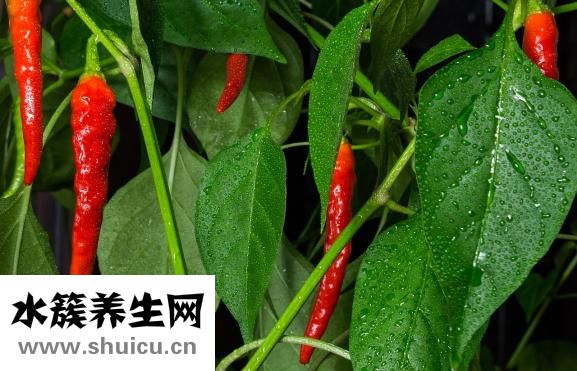 怎樣炸辣椒油