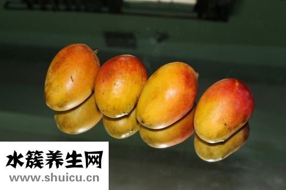 山藥提取物