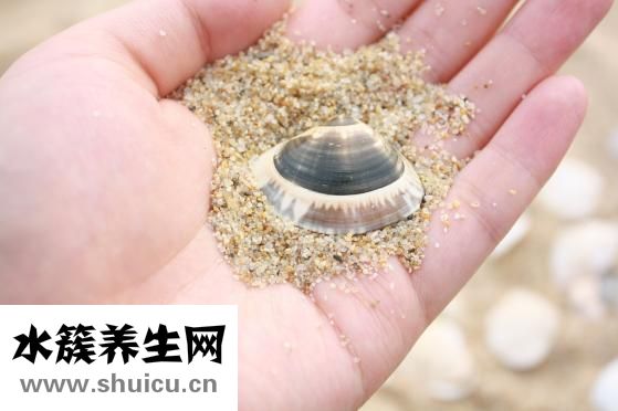 山藥提取物