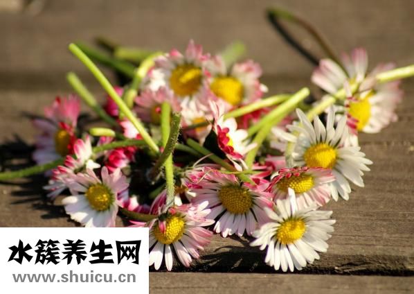 中醫推拿學