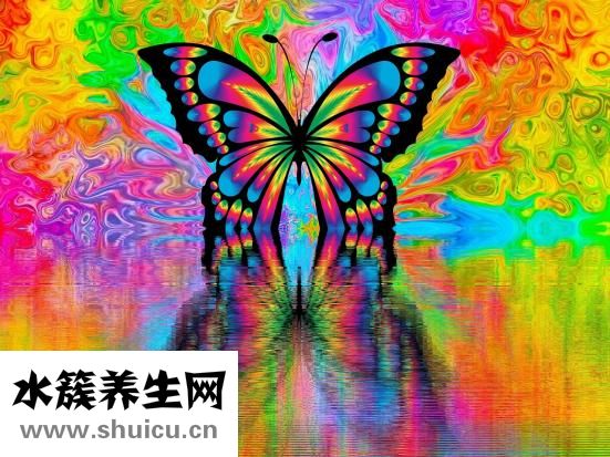 學生瘦腿方法