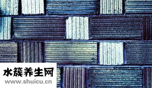 五谷雜糧功效