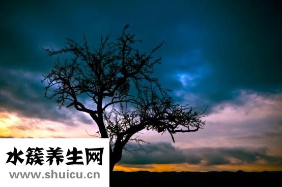 手指沒月牙