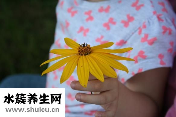 孕婦食譜大全