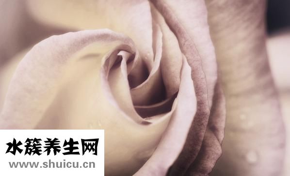 取環要多少錢