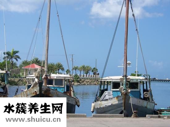 一共多少顆牙