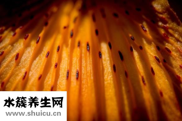 怎樣自學針灸
