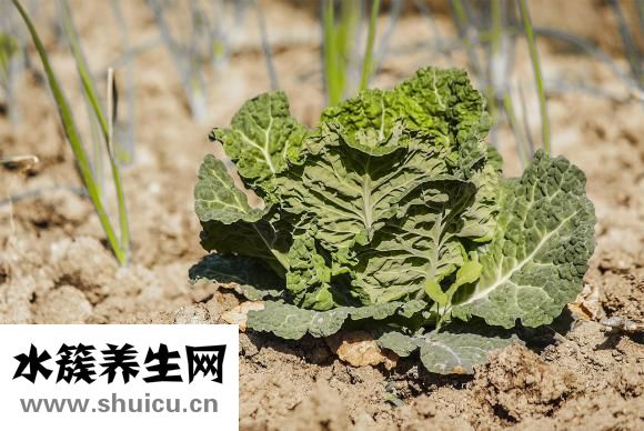 元宵節吃湯圓