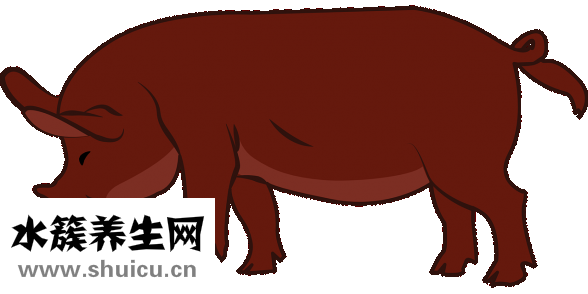 為什么會鼻塞