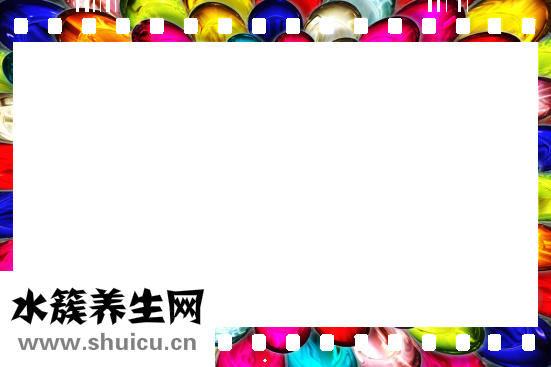 吳茱萸圖片