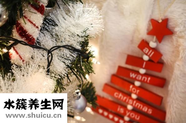 怎樣煮茶葉蛋
