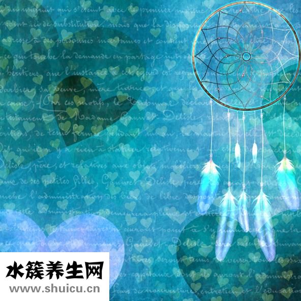 什么油比較好