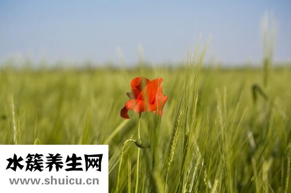 心律不齊如何治療