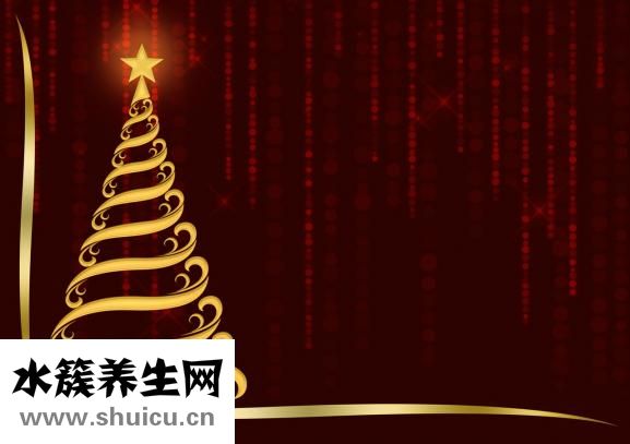 什么油比較好