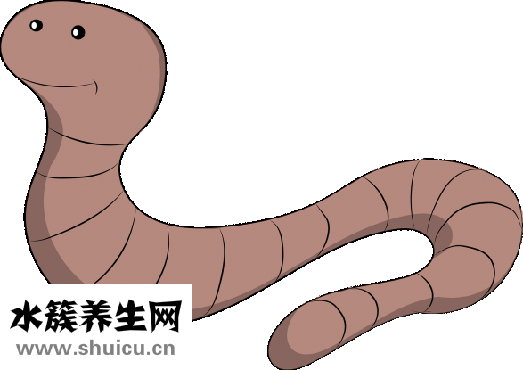 天黃猴棗散