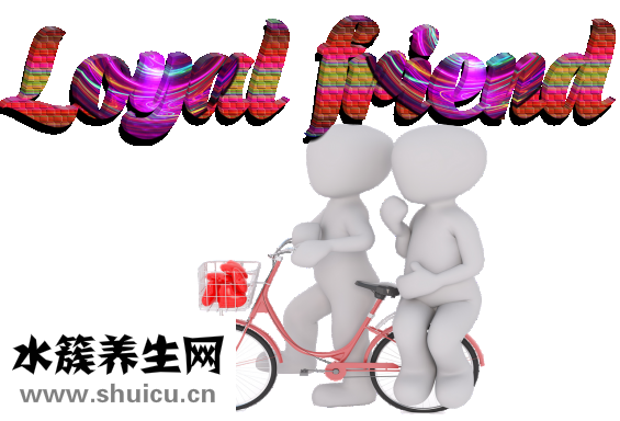什么油比較好