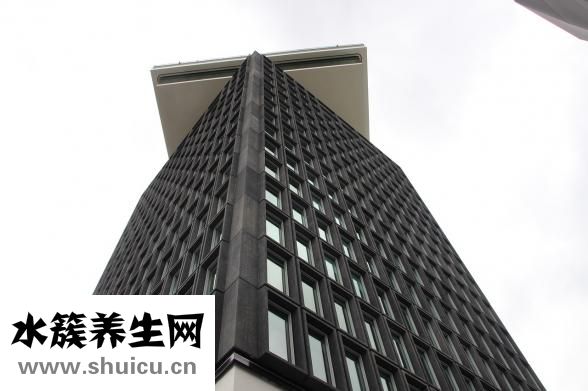 一碗面熱量