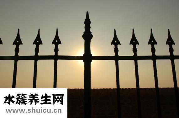 封閉抗體治療