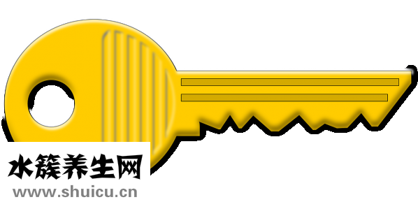 怎么保養腎