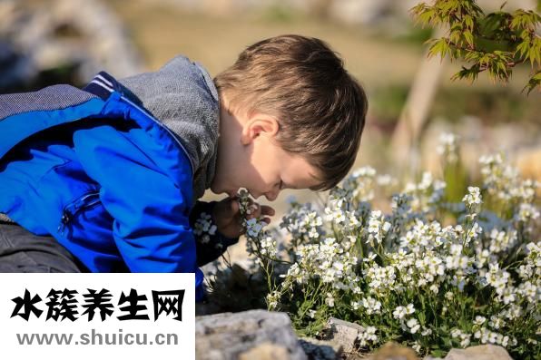 烏梅丸的功效