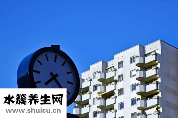 怎樣煮茶葉蛋