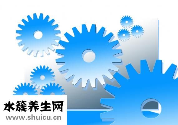 成年牙齒矯正