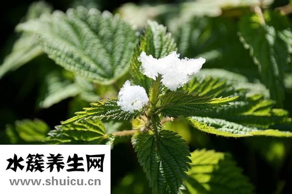小蘇打洗水果