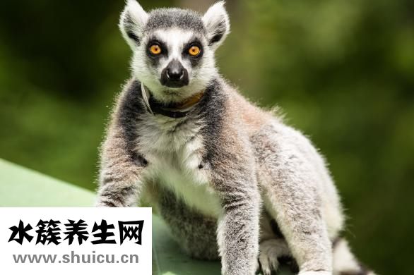 怎樣除掉腋臭