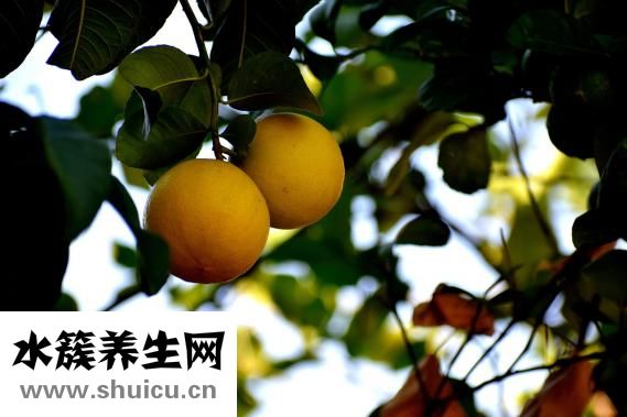 怎么才能不長胡子