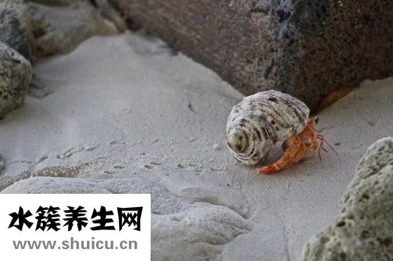 雙重人格前兆