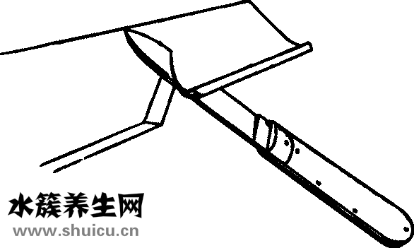 土豆燉胡蘿卜
