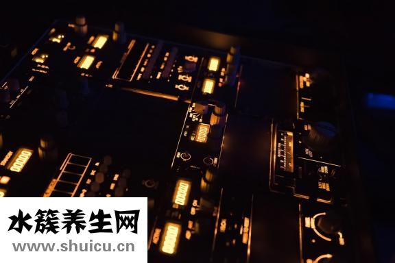 十大解酒飲品