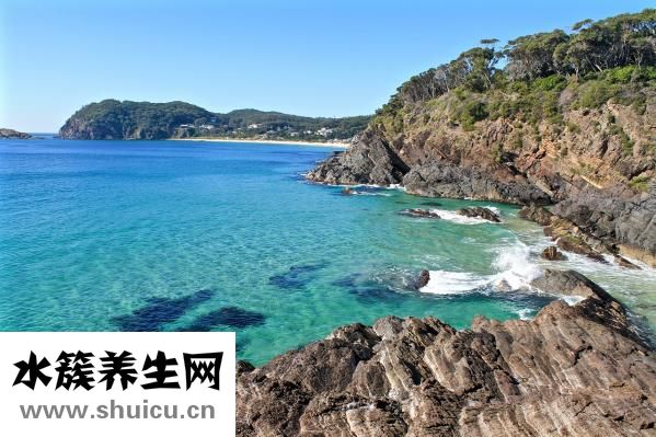 山藥怎么處理