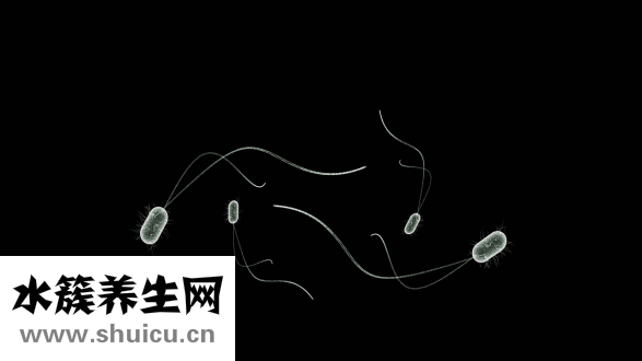 吃梨會長胖嗎