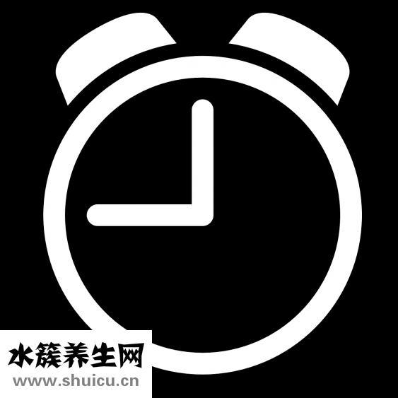 怎么腌雞翅