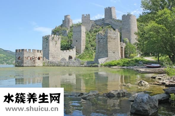 四海舒郁丸