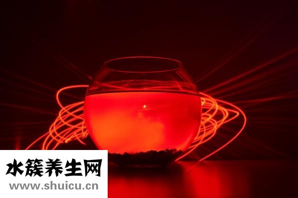 準分子近視手術