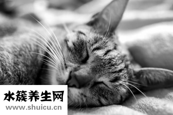 心電圖報告